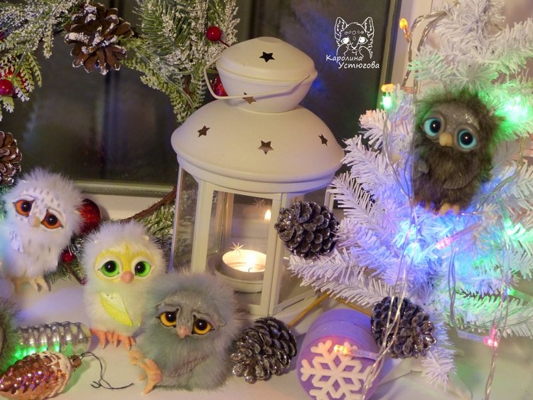 Совята в ожидании Новогодних праздников (фото 4)