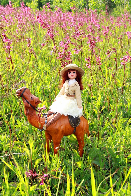 Путешественница Синди. Sindy's Urban Safari (фото 4)