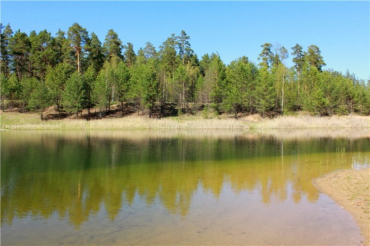 Долгая дорога к Волге. Custom Blythe Doll UFO Go Go Takara (фото 9)