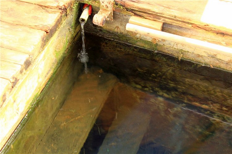 Путешествие Софи в Старицу. Lati HoneyBee New Mystic Sophie (фото 10)