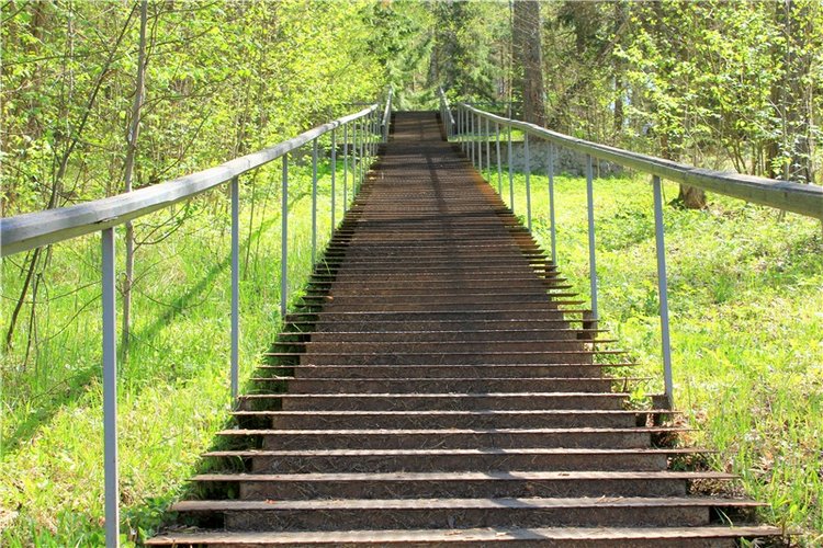 Путешествие Софи в Старицу. Lati HoneyBee New Mystic Sophie