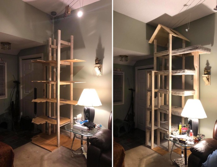 Кошкин дом в доме человека (фото 9)