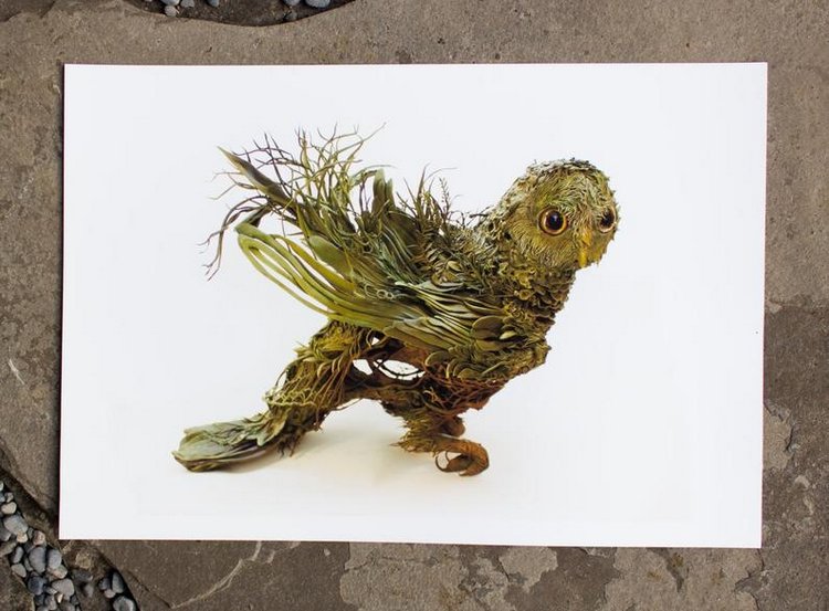 EllenJewettPrintShop - "Сюрреалистическая естественная история" by Ellen Jewett (фото 10)