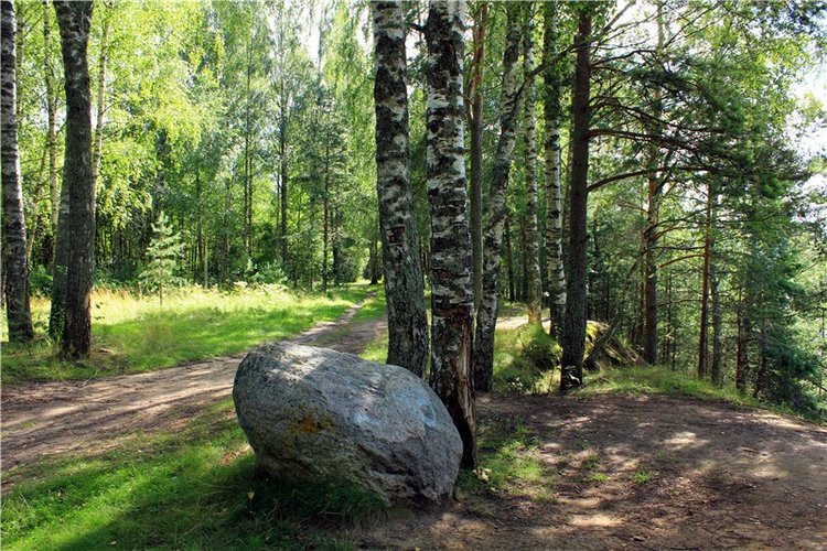 Августовское путешествие в "Сад Камней" | Бэйбики Августовское путешествие в "Сад Камней"