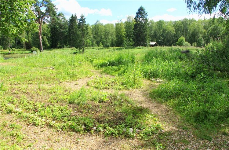 Принцессы в Райке — Куклы