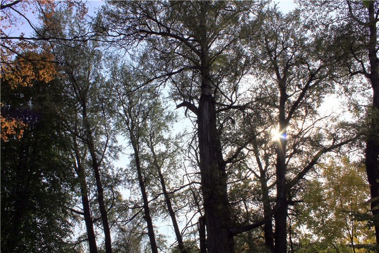 Путешествие Dal Hangry в Грузины