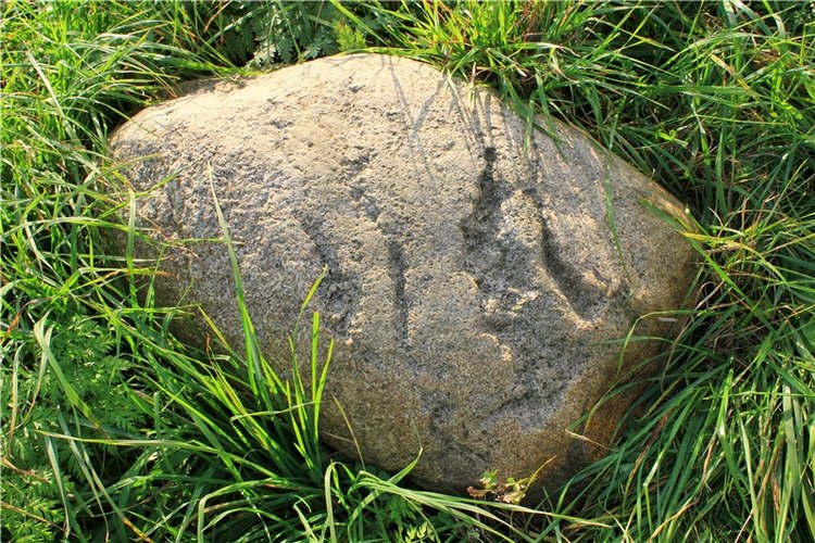 Путешествие Dal Hangry в Грузины (фото 3)