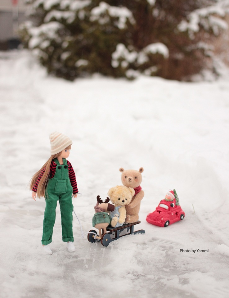 Новогодние каникулы в деревне