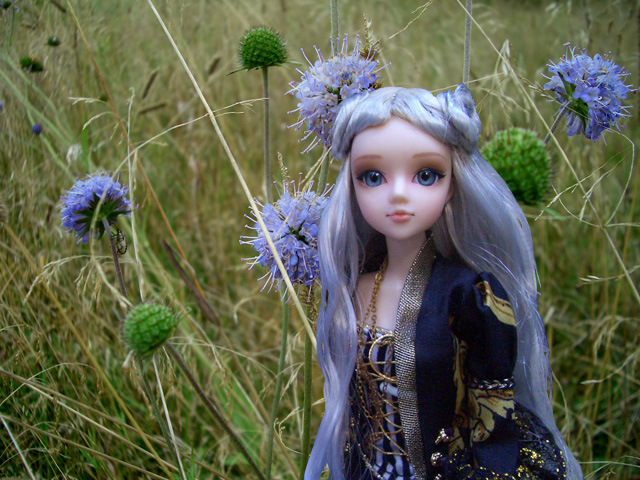 Мой J-doll-квартет — Куклы J