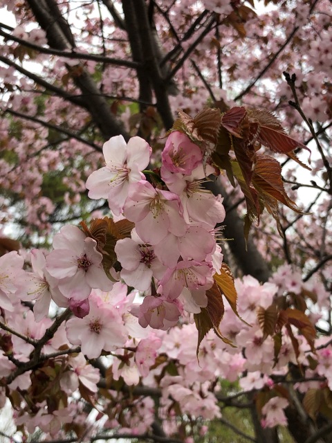Тони Старк: приключения без брони. Был месяц май, половина первая (фото 4)