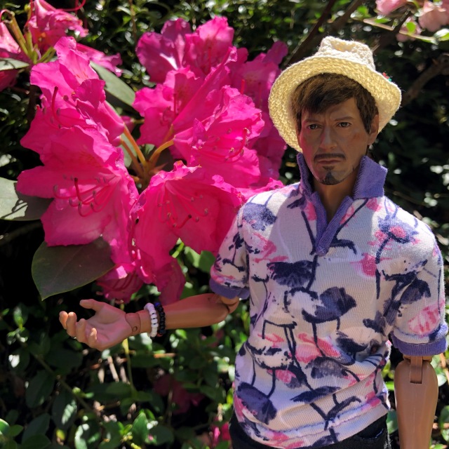 Тони Старк: приключения без брони. И снова Аптекарский огород | Бэйбики Тони Старк: приключения без брони. И снова Аптекарский огород