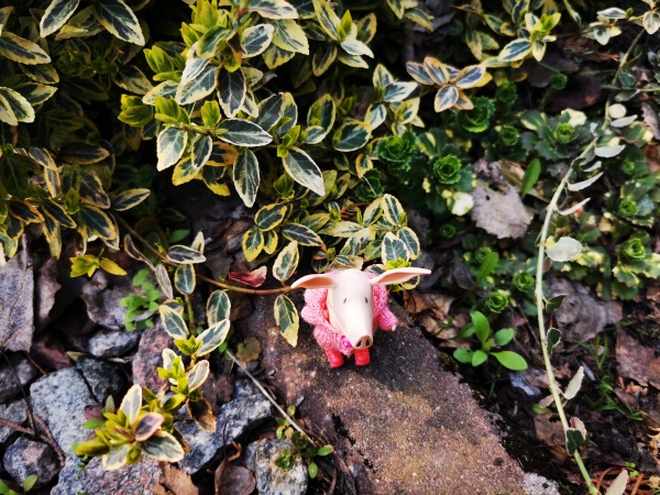 Фигурка свинки Оливии от Spin Master | Бэйбики Фигурка свинки Оливии от Spin Master