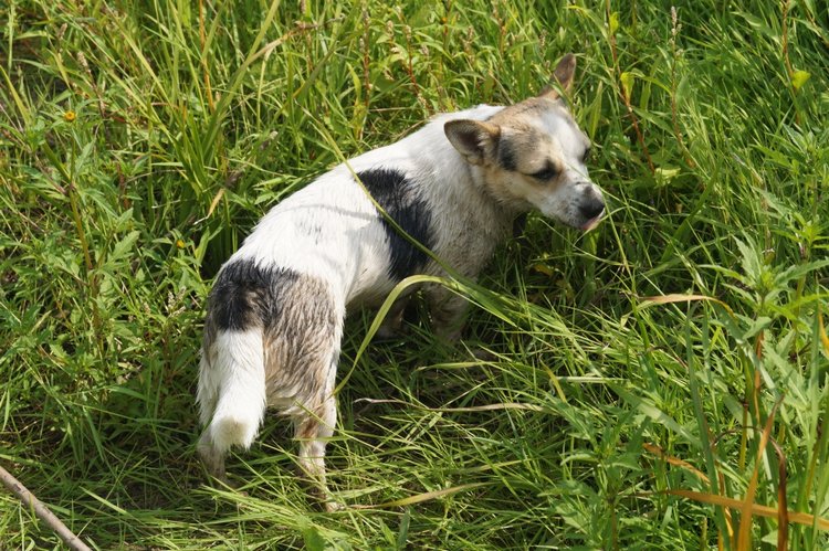 За хорошими эмоциями с семьёй на речку