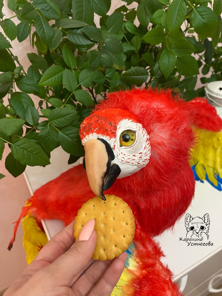 Попугай Ара — Игрушки в смешанной технике (мех и глина): Арт