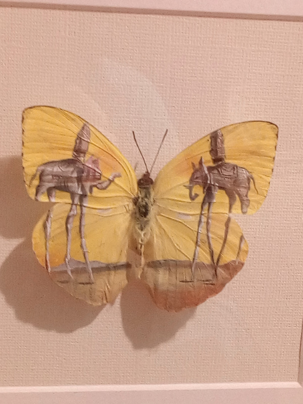 Живые цветы — Болталка и разговоры обо всем: жизнь