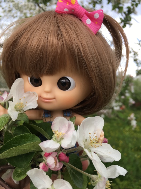 Поездка на дачу с Mui-chan, Migliorati и Sonny angel