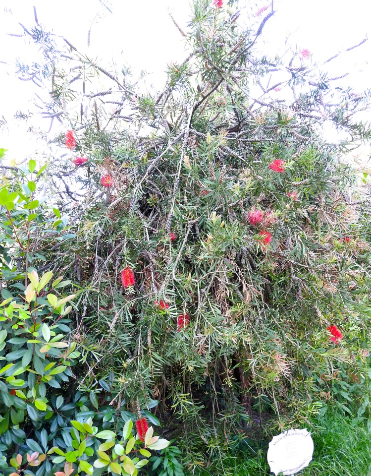 Краснодарский Край, Сочи-Адлер, Санаторий «Южное Взморье»