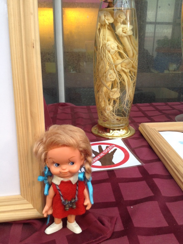 Аптекарский огород сегодня. ч.5. Грибной фестиваль