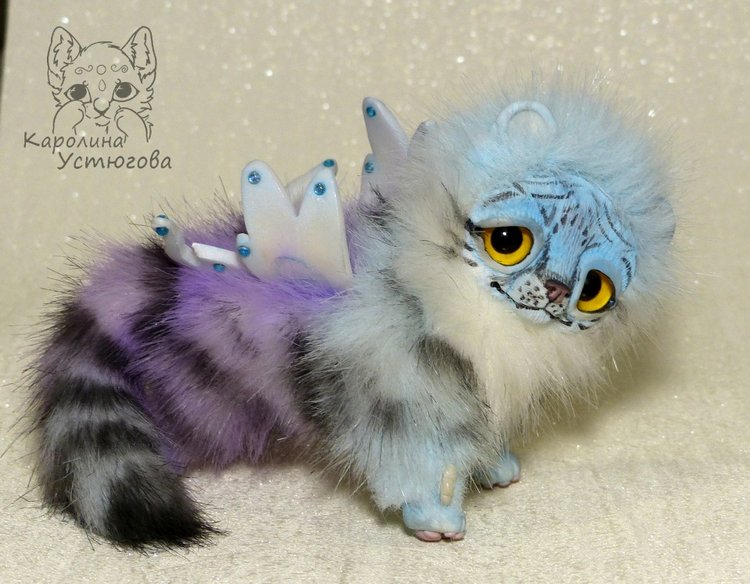 Ахисмио Тигровый в новом окрасе