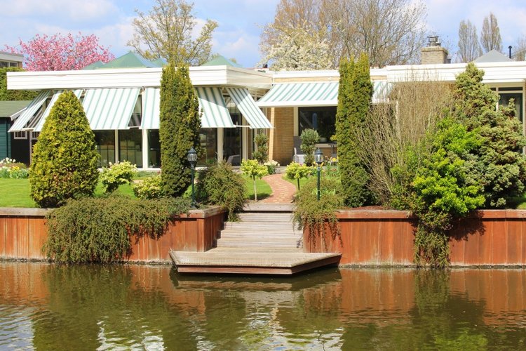 Цветущая Сакура. Прогулка по парку с Алисой. Весенние зарисовки