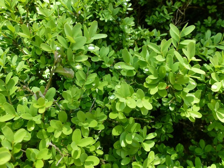 Сочи-Адлер: Южное Взморье - виртуальное путешествие по территории санатория