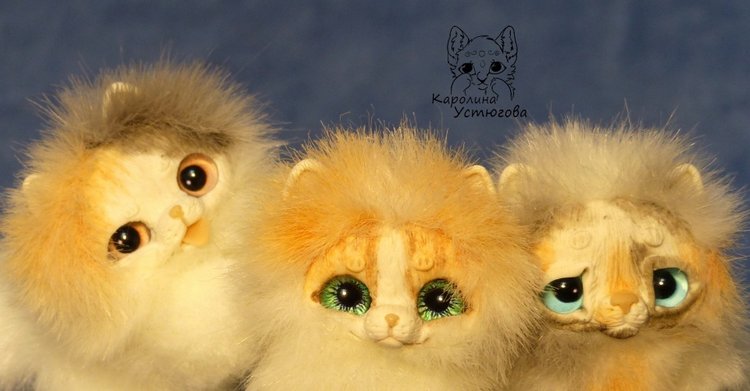 Три котенка Джейн, Пирожок и Апельсинчик (фото 3)