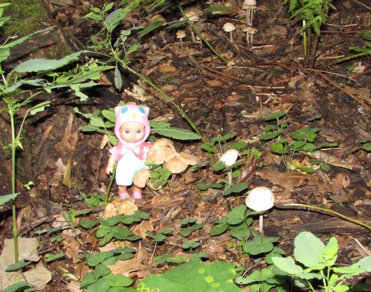 Веселое путешествие по Парку Измайлово - 2