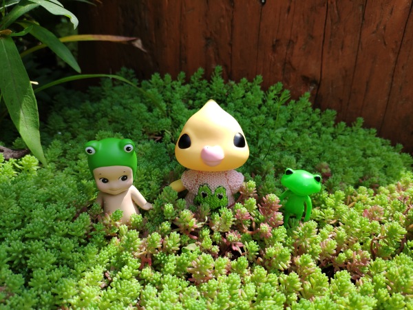 Попугайчик Kotoribir — Коллекционные куклы разных авторов (Разное): редкие бренды (фото 5)