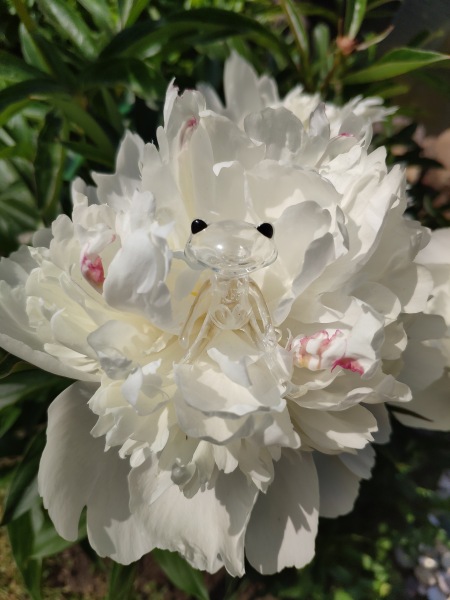 Лето с лягушками — Коллекционные куклы разных авторов (Разное): редкие бренды