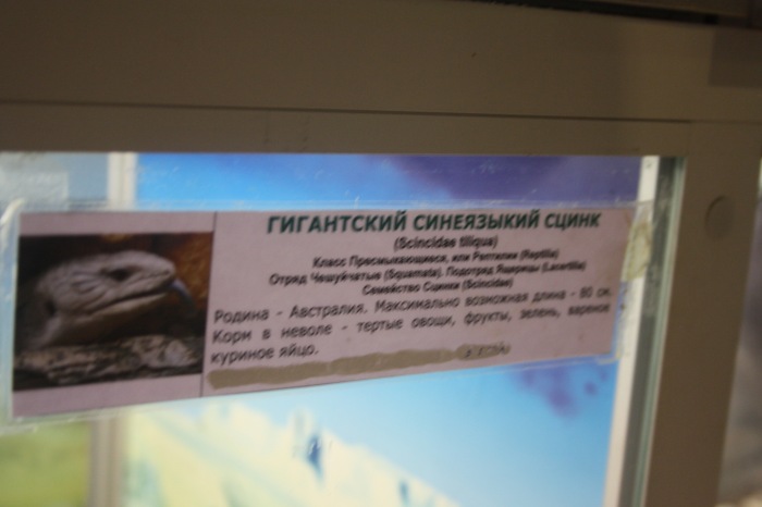 Псков. Эколого-биологический центр. Часть 1