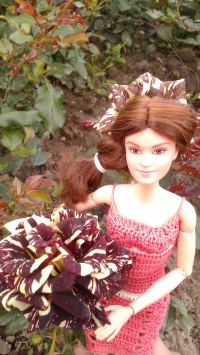 Флэшмоб: День Благодарения