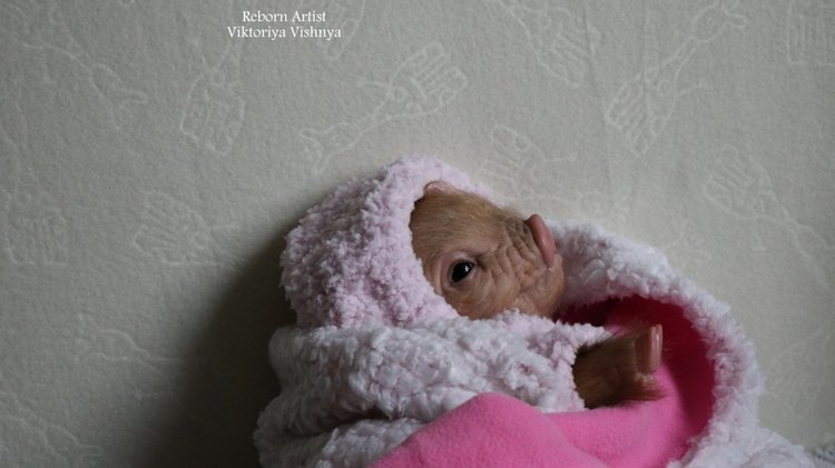 Поросенок Мила... куколка реборн Виктории Вишни