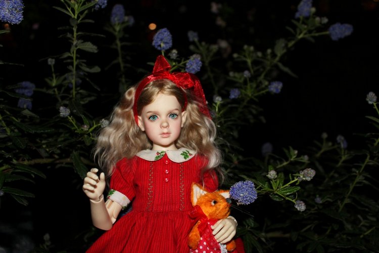 Розочка в вечернем саду — Куклы Dollshe Craft (Доллше): BJD (БЖД)