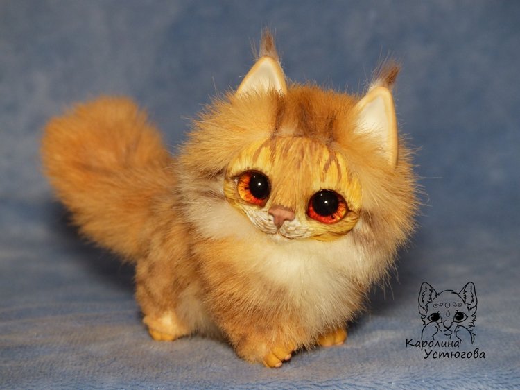 Карманный котеночек породы: Мейн-Кун (фото 4)