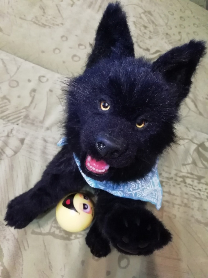 Мой домашний волчок — Домашние фото авторских игрушек: Тедди (фото 2)