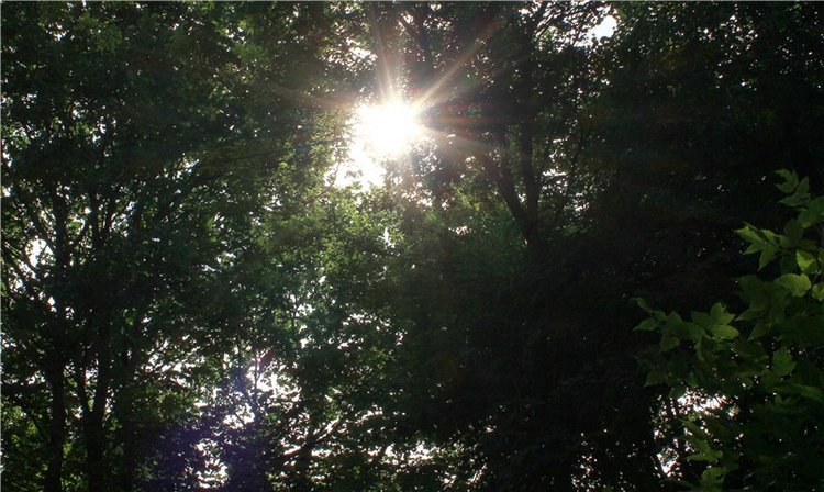 Июльское путешествие в Старицу, продолжение