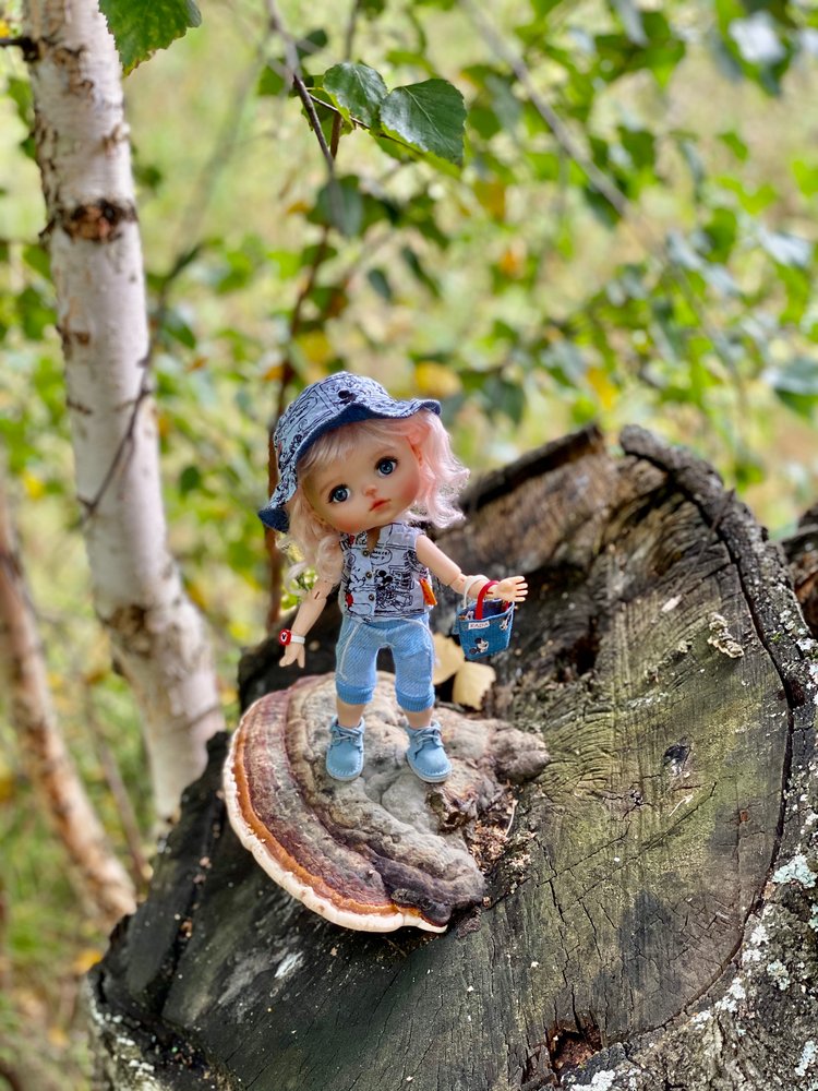 Варя в Березовой роще. Fabbi Chibbi Meadow dolls | Бэйбики Варя в Березовой роще. Fabbi Chibbi Meadow dolls