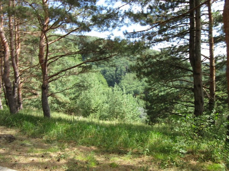 Горячее солнышко Кисловодска