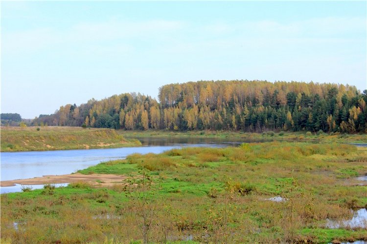 Путешествие Имани на Волгу, продолжение. Mini Imani от Kaye Wiggs