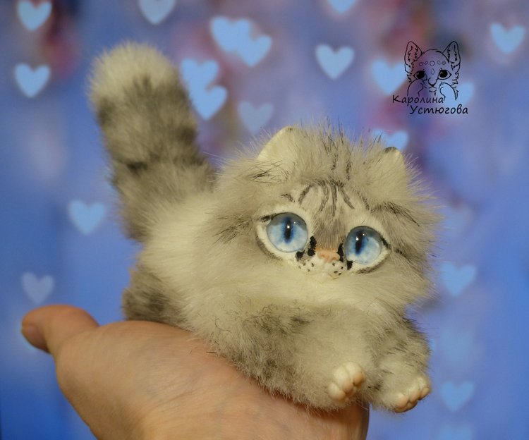 Котята Охос азулес. Чарующие глаза