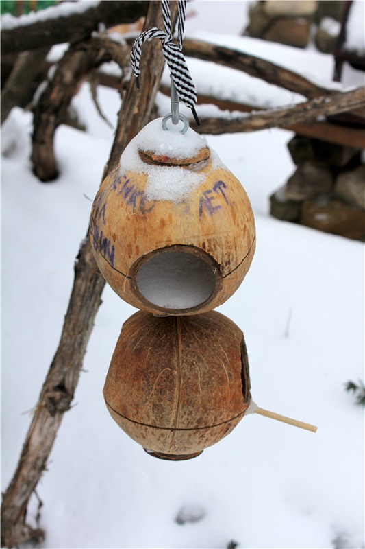 Тверской Ботанический Сад, заключительная часть (фото 9)