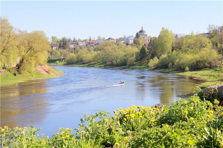 Одуванчиковая нежность, прогулка по Торжку