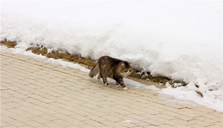 Снежный Март — Туризм и путешествия: фотоотчеты из поездок