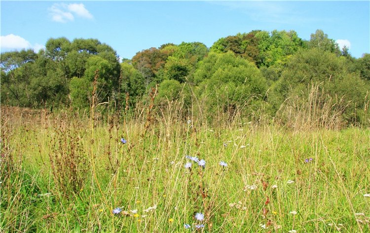 Старицкая Швейцария. Путешествие с Сашей, продолжение. Уникальная кукла от Сильвии Наттерер