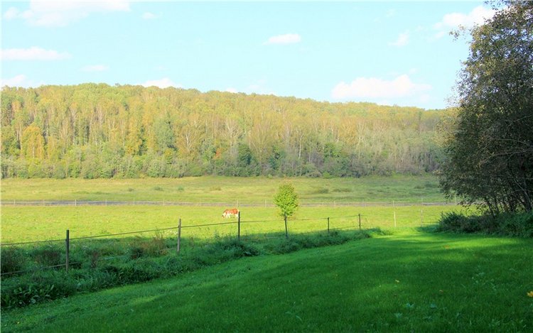 Нийя. Воспоминание об осени, Чукавино, Эко-Лэнд