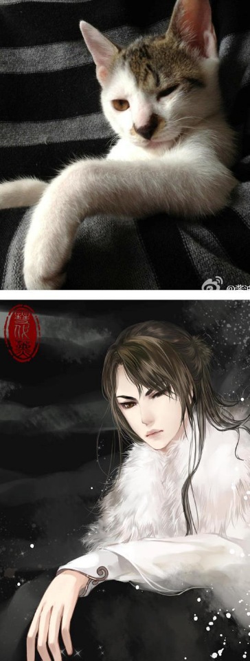 Как выглядели бы кошки, будь они девушками из аниме (фото 10)
