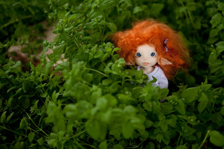 Первая поездка Мари, в Усово (1 часть)