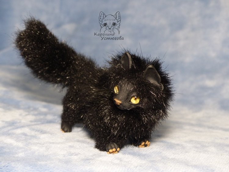 Кот породы Мейн-ку́н, черный. Я к удаче (фото 3)