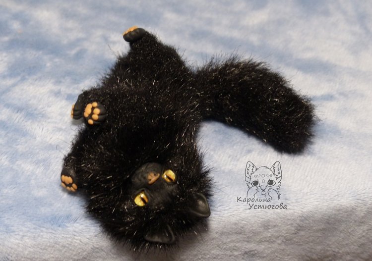 Кот породы Мейн-ку́н, черный. Я к удаче (фото 6)