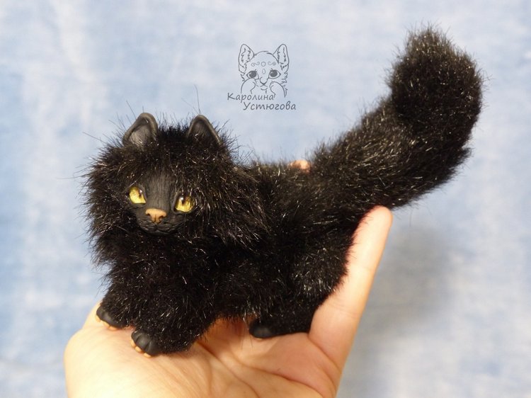 Кот породы Мейн-ку́н, черный. Я к удаче